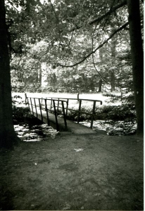F5804 Vonder in het Vordense bos 1985